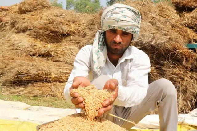 hindistan'da bir çiftçi