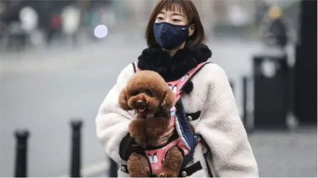 कोरोना वायरस