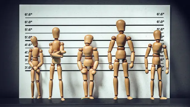 Художнє зображення зображує п'ять бежевих шарнірних манекенів різних розмірів, розташованих у стилі поліцейського параду розпізнавання. За ними знаходиться чорно-біла дошка з позначками висоти.