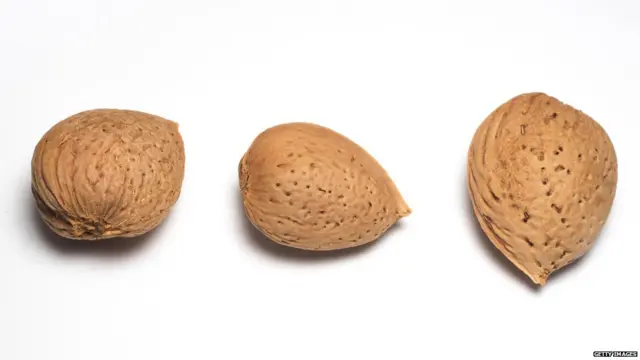 ਭਾਰਤ, ਅਮਰੀਕਾ, ਵਪਾਰ