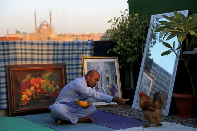 A man feeding a chicken.