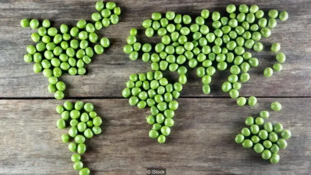 vejetaryen dünya haritası