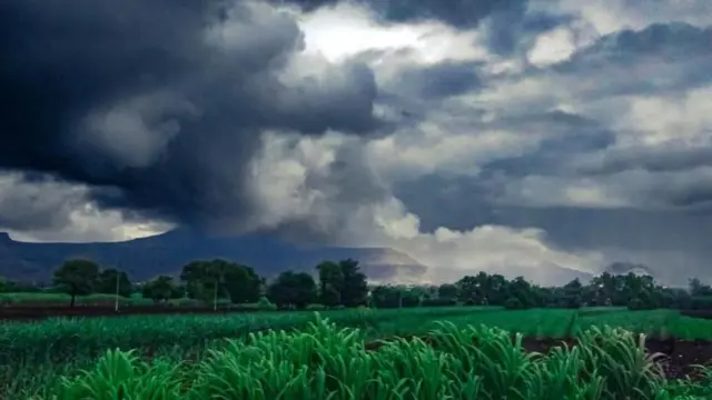 gujarat, monsoon, ગુજરાત , ચોમાસું, બીબીસી ગુજરાતી,ગુજરાતમાં વરસાદ