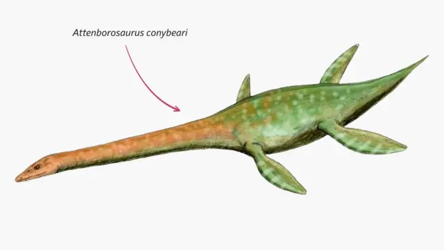 Illustración del Attenborosaurus conybeari