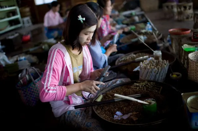 ဆေးလိပ်ခုံအလုပ်သမားတစ်ဦး(ပုံဟောင်း)