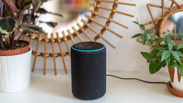 Aleksa Amazon