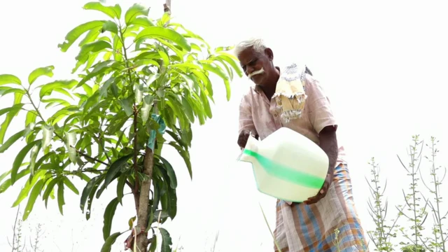 బిందు, తుంపర్ల సేద్యం