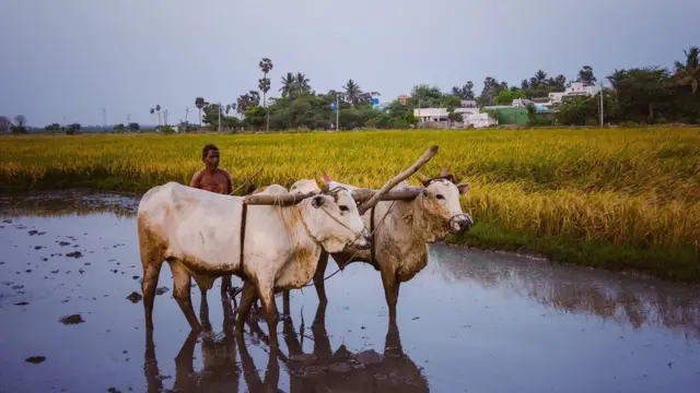 நவீன் குமார்