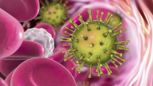 கொரோனா வைரஸ்