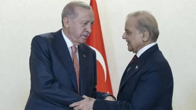 તુર્કી, ભારત, પાકિસ્તાન, નરેન્દ્ર મોદી, યુએન, સંયુક્ત રાષ્ટ્ર,ઈસ્લામ 