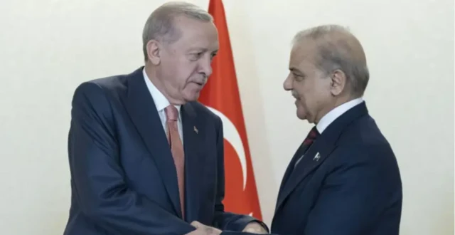 எர்துவான்