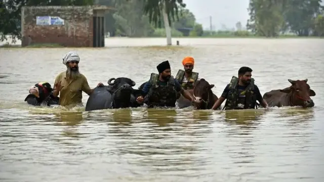 ਪੰਜਾਬ 'ਚ ਆਏ ਹੜ੍ਹਾਂ ਦੀ ਤਸਵੀਰ 