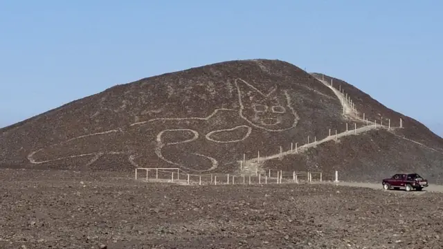 የድመት ቅርጽ