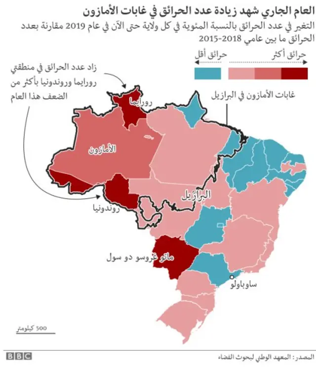 غابات الأمازون
