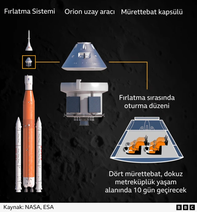 Artemis II astronotlarının fırlatma sırasında Orion mürettebat modülünde nasıl yerleştirileceğini gösteren bir çizim. Dört astronot, sırtları yere dönük şekilde, ikişerli iki sıra halinde uzanmış oturuyor. Görev süresince dört mürettebat üyesi, yaklaşık dokuz metreküp yaşam alanında 10 gün geçirecek. Resim, mürettebat modülünün Orion uzay aracının yaklaşık yarısını oluşturduğunu (servis modülünün de yaklaşık aynı boyutta olduğunu) ve fırlatma rampasında Orion'un 98 metrelik (320 fit) Uzay Fırlatma Sistemi roketinin sadece küçük bir bölümünü oluşturduğunu gösteriyor.