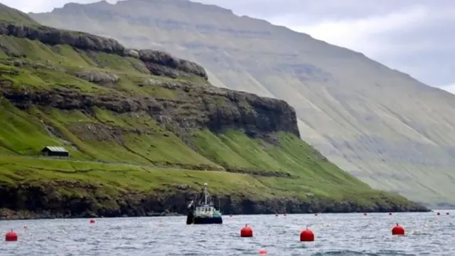 ရေပေါ် ပေါ်တဲ့ ဗော်ယာတွေ တစ်ခုနဲ့တစ်ခုကို လိုင်းတွေ ချိတ်ဆက်ပြီး အဲဒီ လိုင်းတွေပေါ်မှာ ရေအောက်ကို ကြိုးတွေချကာ ပင်လယ်ရေညှိတွေကို ပွားများစေ