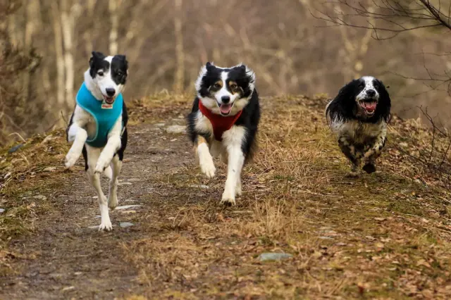 ஜெயிக்கப் போவது யார் என்று போட்டியிடும் நண்பர்கள்