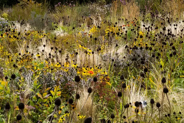 Prairie Plantation by Volker Michael