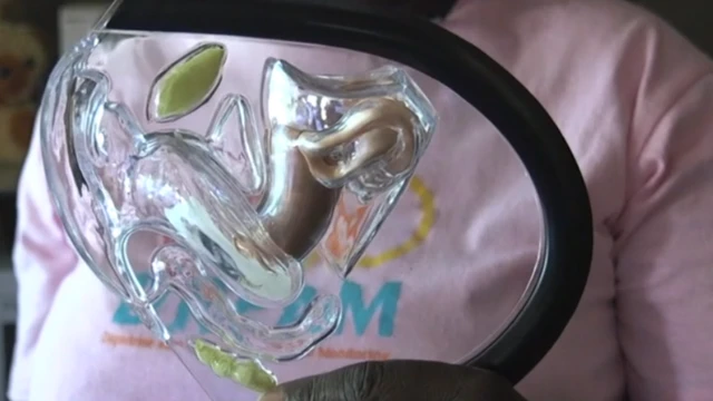 Wetin be vaginal ring and why dis African kontris approve am for women to use