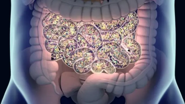 ਆਂਦਰਾਂ ਦਾ ਮਾਈਕ੍ਰੋਬਾਇਓਟੀਆ