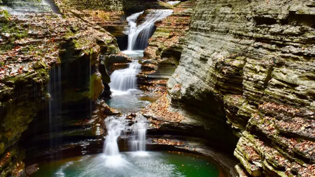 அமெரிக்காவின் நியூ யார்க்கிலுள்ள வாட்கின்ஸ் க்லென் என்ற இடத்தில் இலையுதிர்காலத்தில் ஓசூரை சேர்ந்த பார்கவ் கேசவன் எடுத்த புகைப்படம்