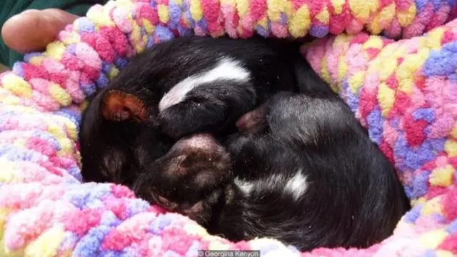 फ़ोटोग्राफ़ी