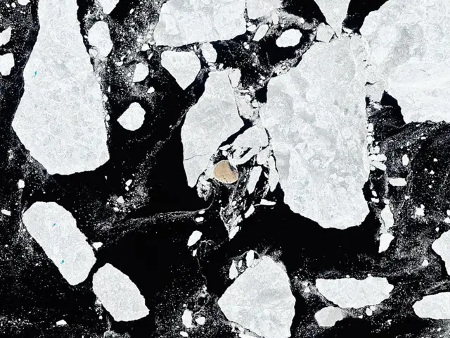 Imagen que muestra mar oscuro y muchos bloques de hielo, con un pequeño círculo en medio de color beige, que es la isla. 