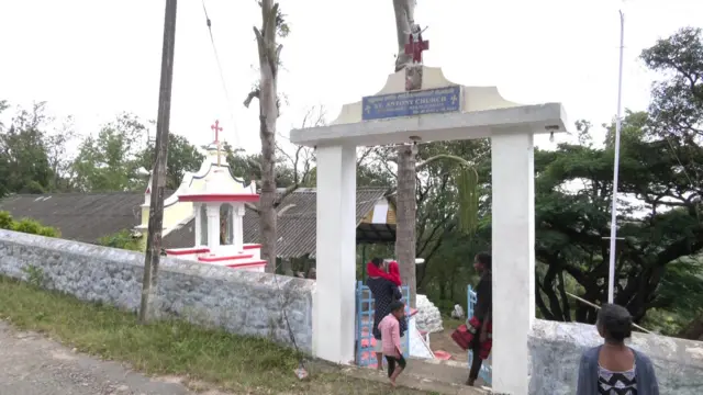 திருநெல்வேலி, மாஞ்சோலை, தேயிலை தோட்டம் 