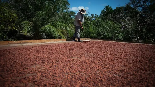 trabalhador varrendo o solo