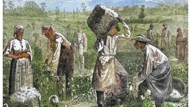 பிரிஸில்லா ஹென்றி: பாலியல் தொழில் உலகில் பேரரசியாக திகழ்ந்த கருப்பினப் பெண்