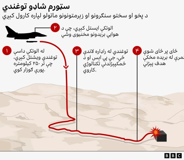 دا ګرافیکس ښيي، چې سټورم شاډو توغندي څه ډول فعالیت کوي.