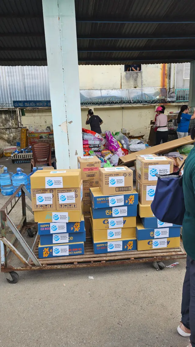 Công an đã thu giữ 45 lồng chứa khoảng 400 con mèo còn sống; 4 thùng xốp chứa khoảng 80 con mèo đã chết 