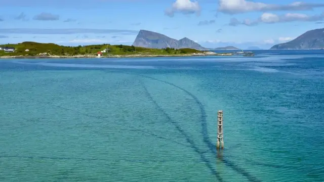 수심이 얕은 바다에서는 케이블 근처로 보트 접근이 금지돼, 어류 생태계가 건강해 질 수도 있다