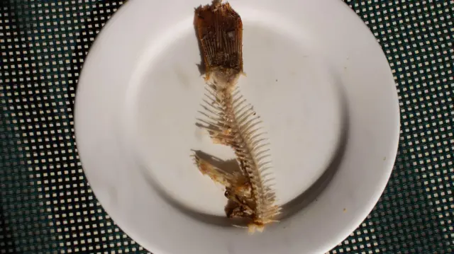 ਮੱਛੀ ਦਾ ਕੰਡਾ