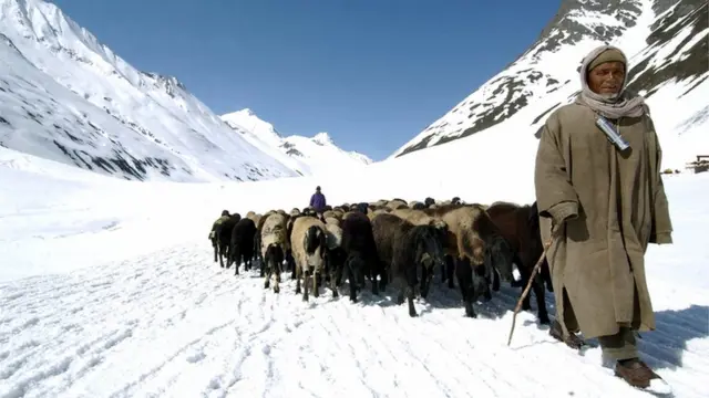 સ્થાનિક ગઢરવાલોએ કારગિલમાં ઘૂસણખોરી વિશે માહિતી આપેલી