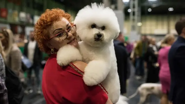 Хозяйка с собакой породы бишон фризе