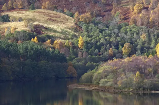 Река Тей осенью