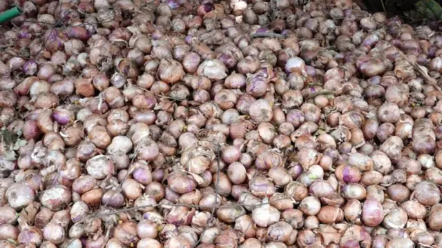 விவசாயிகள் தற்கொலை