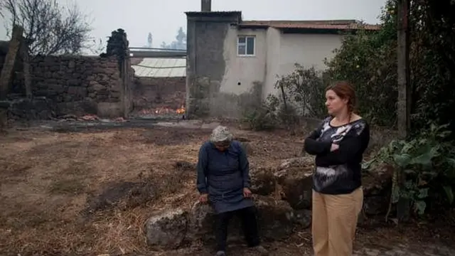 जंगल की आग