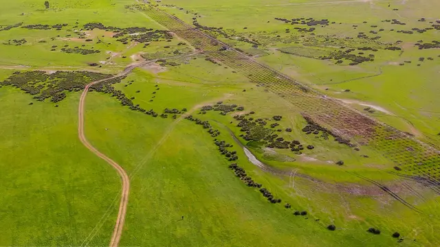 عکاس : مهدی محبی پور