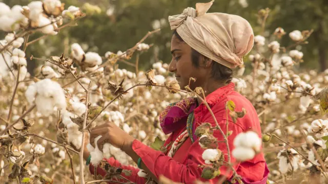 प्रातिनिधिक फोटो