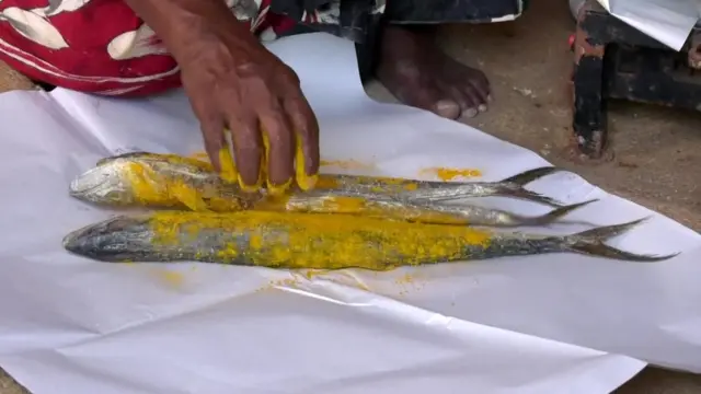 மீனவப் பெண்களின் வாழ்வாதாரமான மீன் விற்பனை தொழில் பாதிப்பு