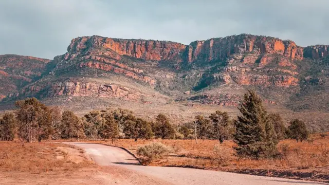 Les Flandres ont été appelées "un grand musée en plein air"