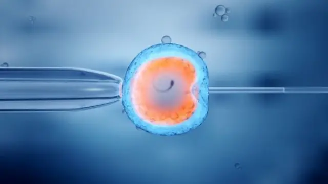 फ़ाइल फोटो