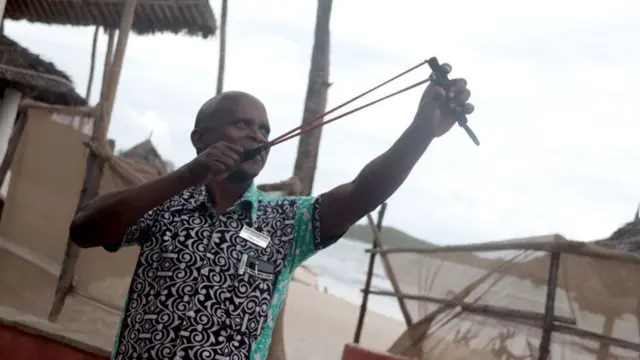 கென்ய மக்களை தொந்தரவு செய்யும் இந்திய வீட்டு காகங்கள் : விஷம் வைக்கும் முயற்சியை கையில் எடுத்த அரசாங்கம் 