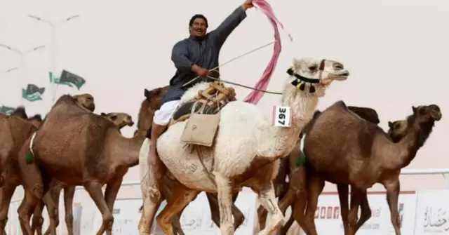 اونٹ
