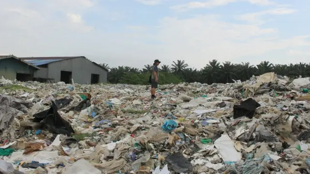 4 тысячи тонн мусора лежит на этом земельном участке