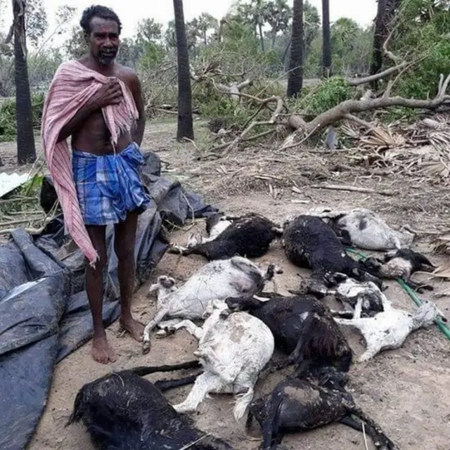 செல்லமாக வளர்த்த கால்நடைகளை கொன்று சென்றது இந்த கஜா: பெண்கள் கண்ணீர்