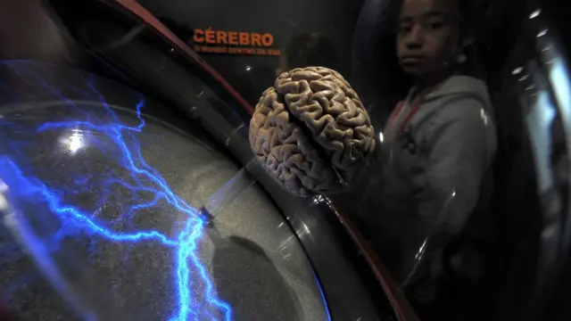 बच्चों का दिमाग, रिसर्च, विज्ञान, मेडिकल रिसर्च, टेक्नॉलॉजी, बच्चे