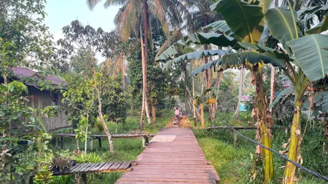 Fransina Wogan, mama Sina, Kampung As, Kampung Atat, Distrik Pulau Tiga, Asmat, gizi buruk, kesehatan ibu dan anak